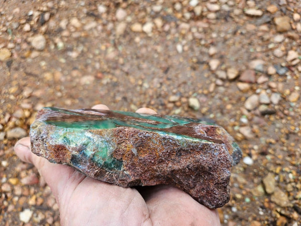 Polished  Chrysoprase  CH485