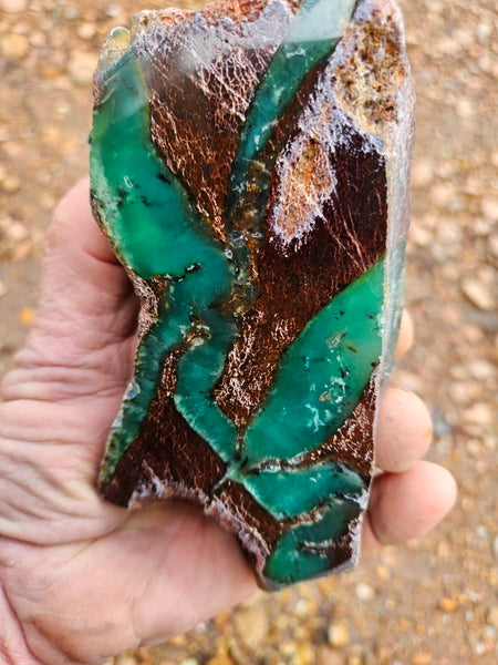Polished  Chrysoprase  CH485