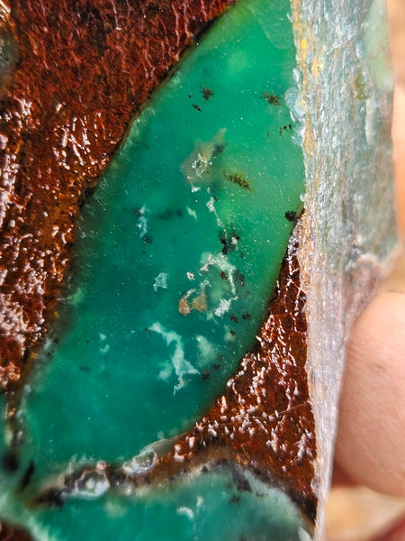 Polished  Chrysoprase  CH485