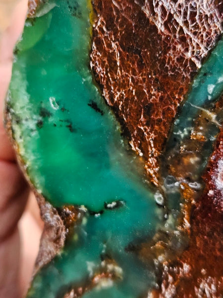 Polished  Chrysoprase  CH485