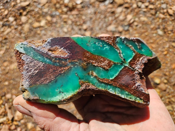 Polished  Chrysoprase  CH485