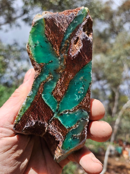 Polished  Chrysoprase  CH485