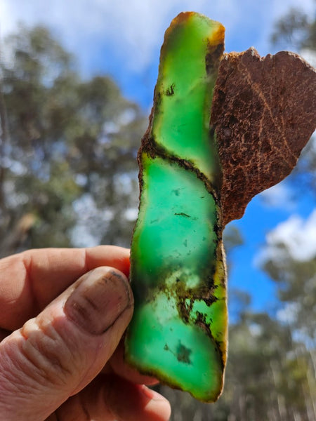 Polished  Chrysoprase slab CH488