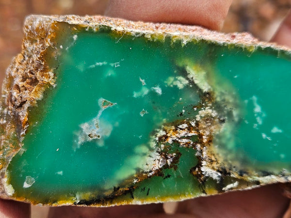 Polished  Chrysoprase slab CH488