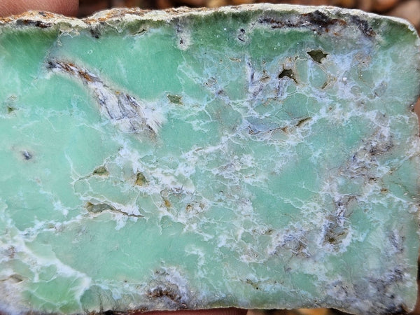 Polished  Chrysoprase slab CH489