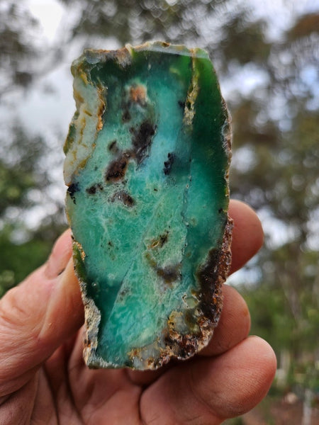 Polished  Chrysoprase  CH486