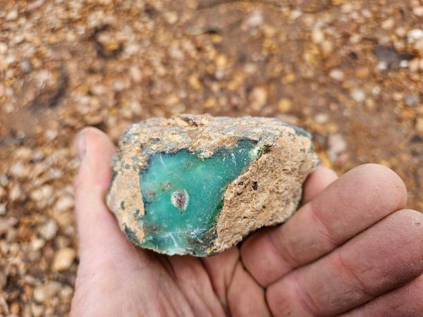 Polished  Chrysoprase  CH486