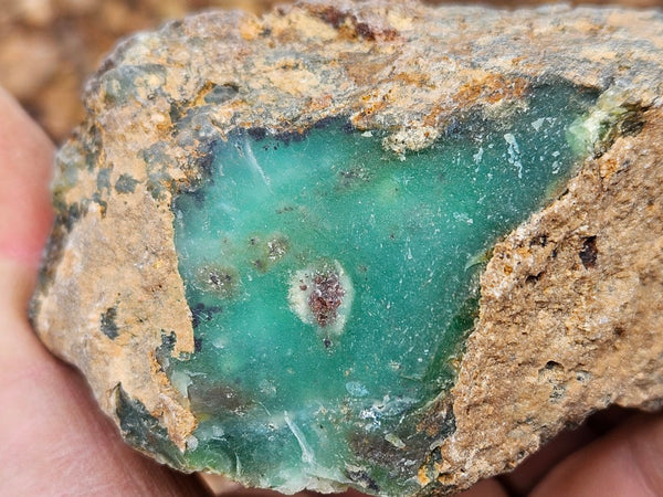 Polished  Chrysoprase  CH486