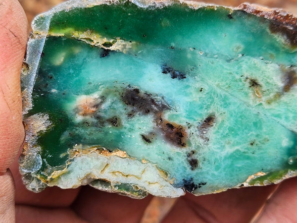 Polished  Chrysoprase  CH486