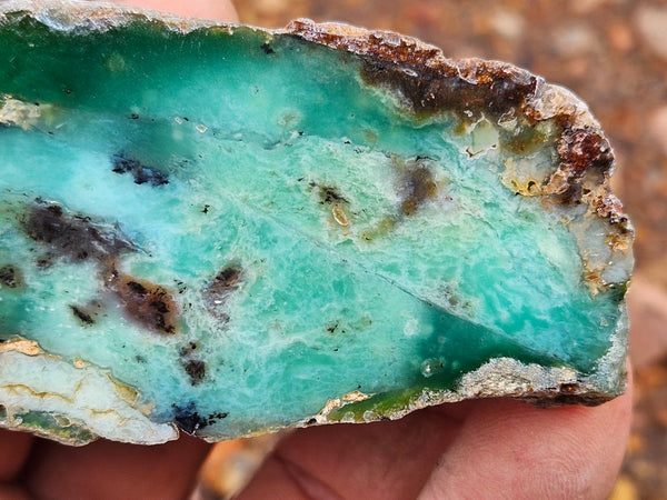 Polished  Chrysoprase  CH486