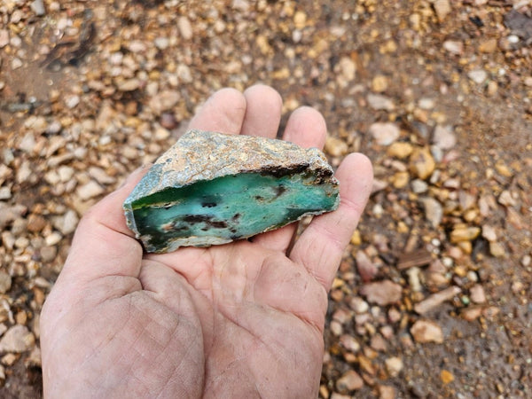 Polished  Chrysoprase  CH486
