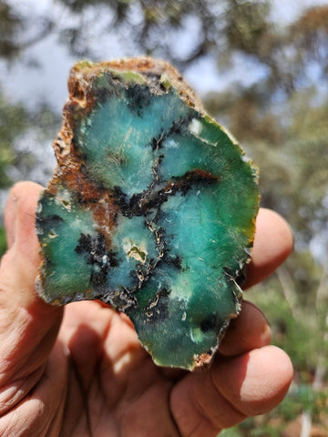 Polished  Chrysoprase  CH487