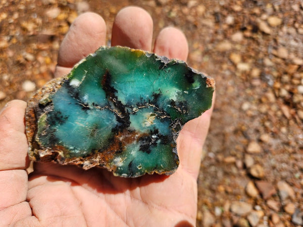Polished  Chrysoprase  CH487