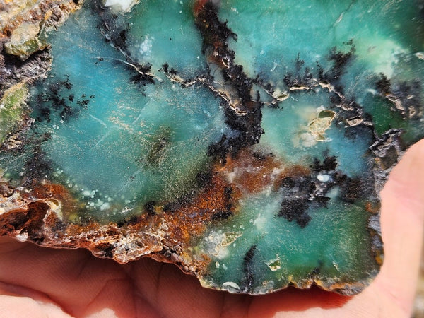 Polished  Chrysoprase  CH487