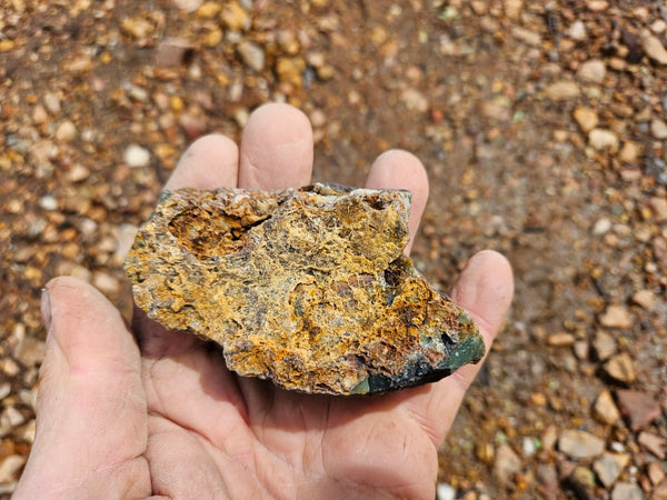 Polished  Chrysoprase  CH487