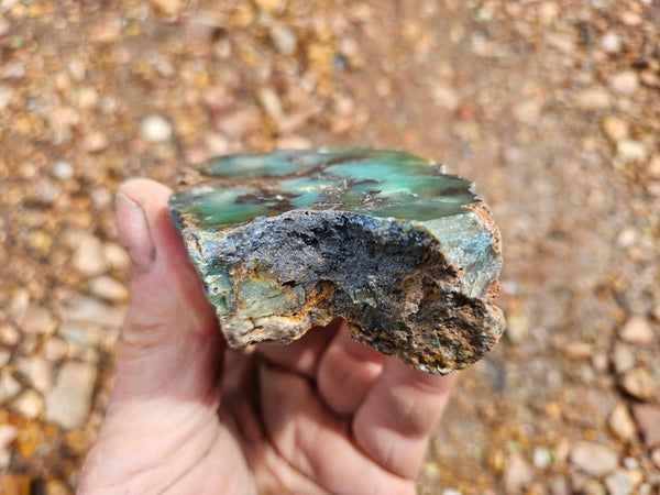 Polished  Chrysoprase  CH487