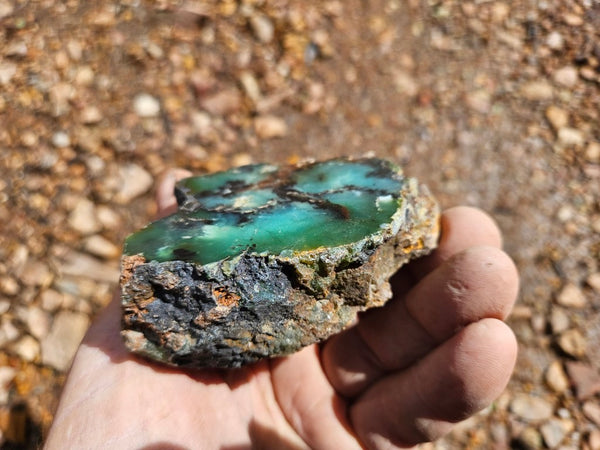 Polished  Chrysoprase  CH487