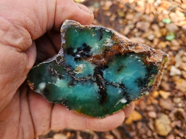Polished  Chrysoprase  CH487