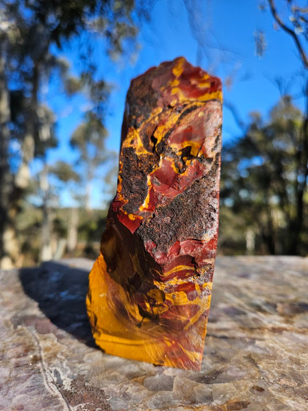 Polished Mookaite  MK555