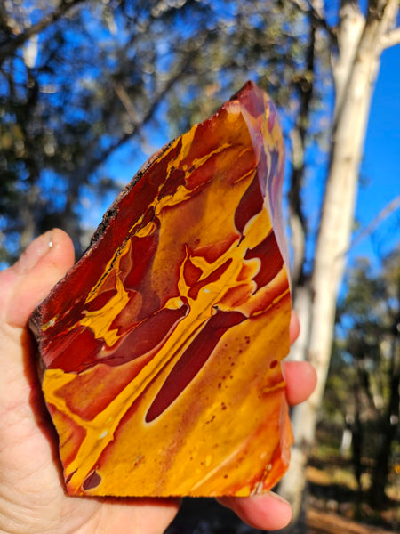 Polished Mookaite  MK555