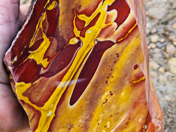 Polished Mookaite  MK555