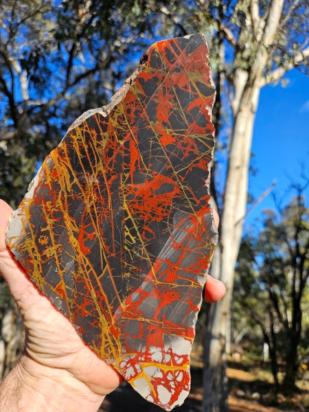 Polished Noreena Jasper slab. NJ487