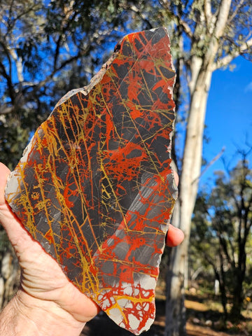Polished Noreena Jasper slab. NJ487