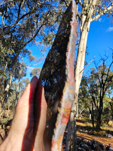 Polished Noreena Jasper slab. NJ487