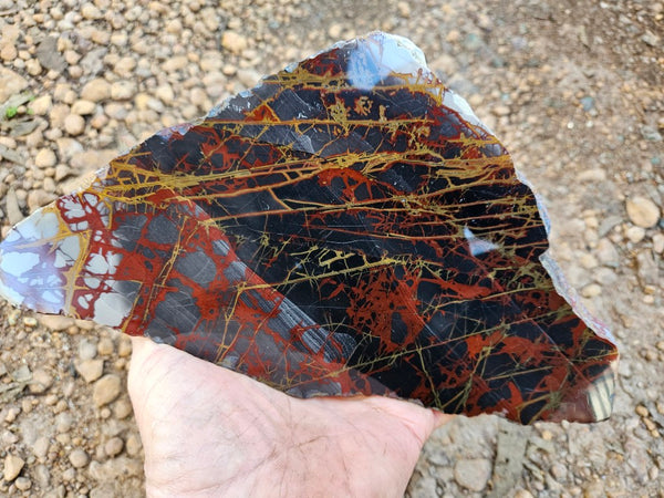 Polished Noreena Jasper slab. NJ487