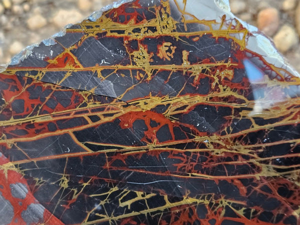 Polished Noreena Jasper slab. NJ487