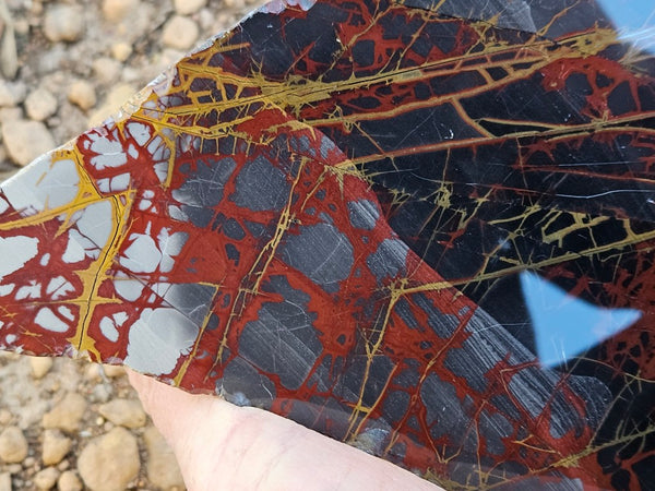 Polished Noreena Jasper slab. NJ487