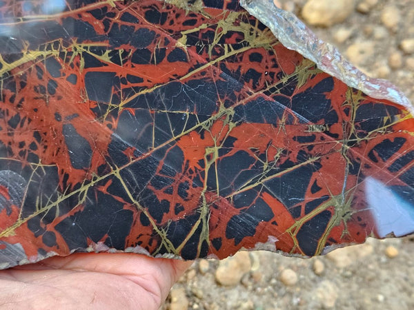 Polished Noreena Jasper slab. NJ487