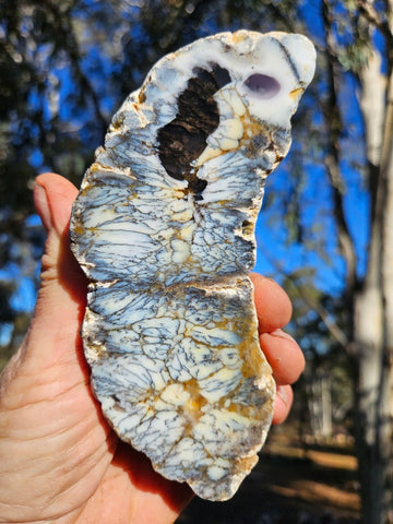 Polished Dendritic Opal DO227