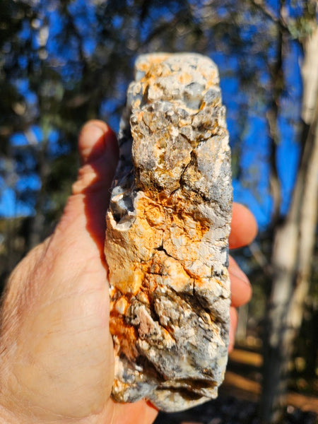 Polished Dendritic Opal DO227