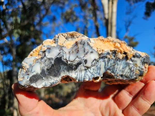 Polished Dendritic Opal DO227