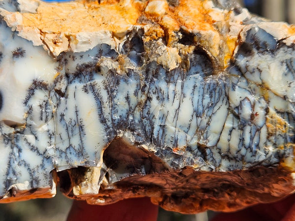 Polished Dendritic Opal DO227