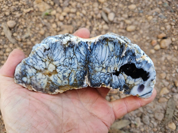 Polished Dendritic Opal DO227