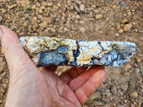 Polished Dendritic Opal DO227