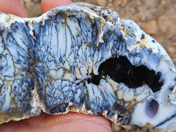 Polished Dendritic Opal DO227