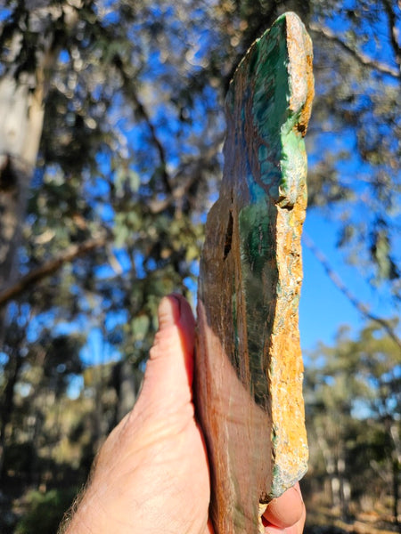 Variscite Polished Slab.  VP 296