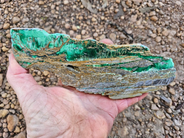 Variscite Polished Slab.  VP 296