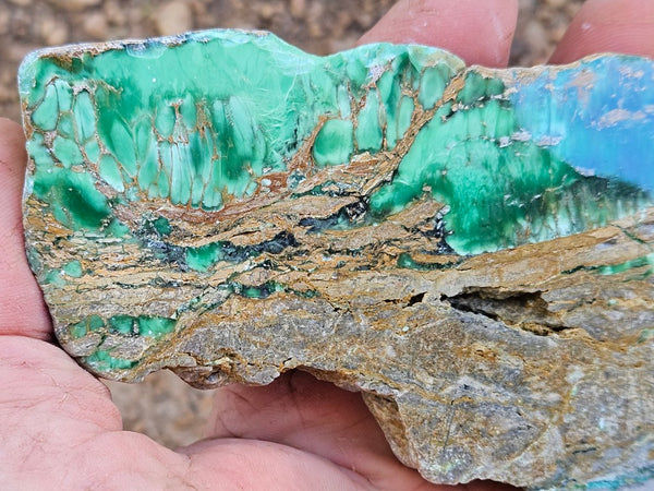 Variscite Polished Slab.  VP 296