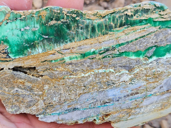 Variscite Polished Slab.  VP 296