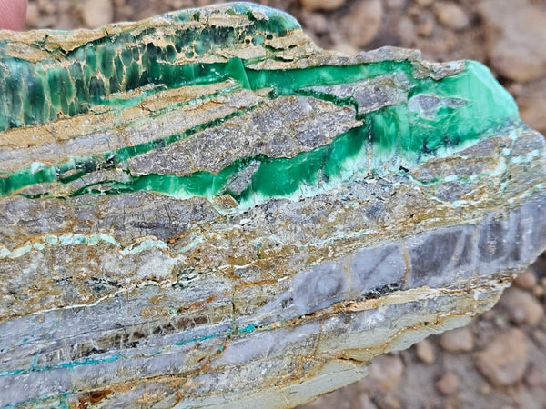Variscite Polished Slab.  VP 296