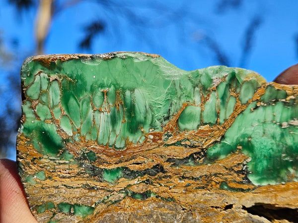 Variscite Polished Slab.  VP 296