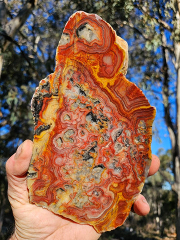 Polished Crazy Lace Agate slab CLA271