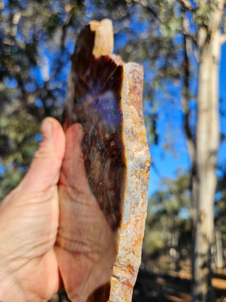 Polished Crazy Lace Agate slab CLA271