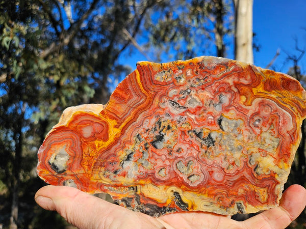 Polished Crazy Lace Agate slab CLA271