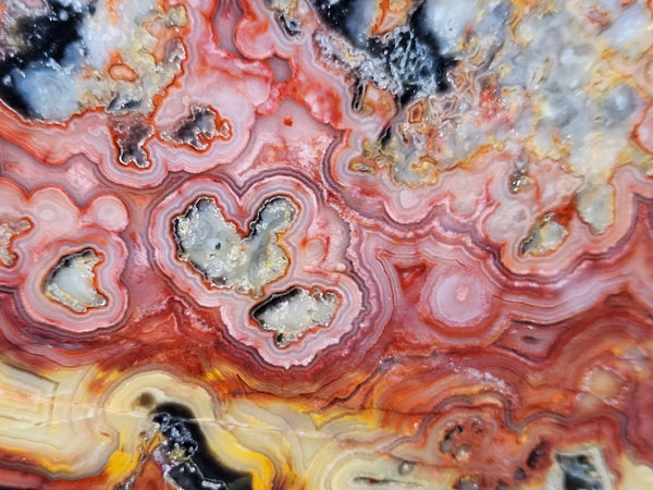 Polished Crazy Lace Agate slab CLA271