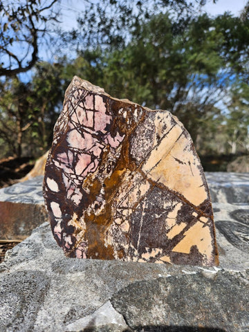 Polished Outback Jasper  OJ199